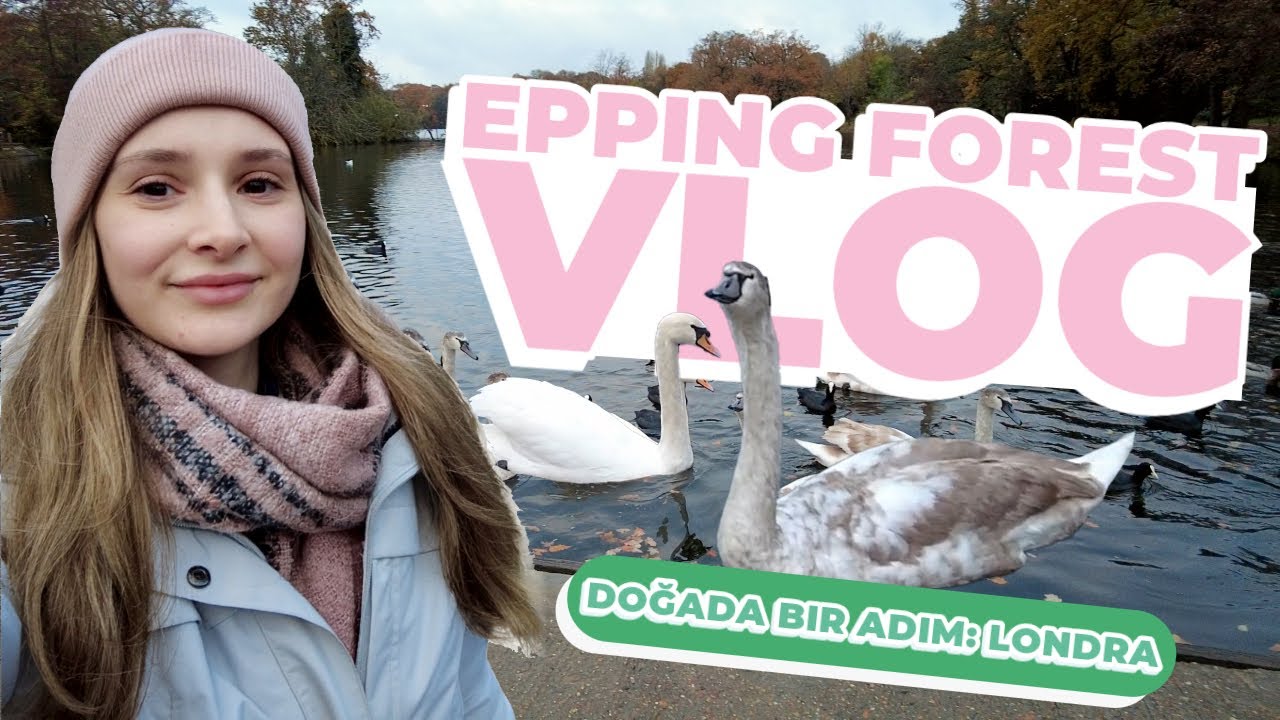 Doğada Bir Adım: Londra | Epping Forest'a İlk Keşif 🌳