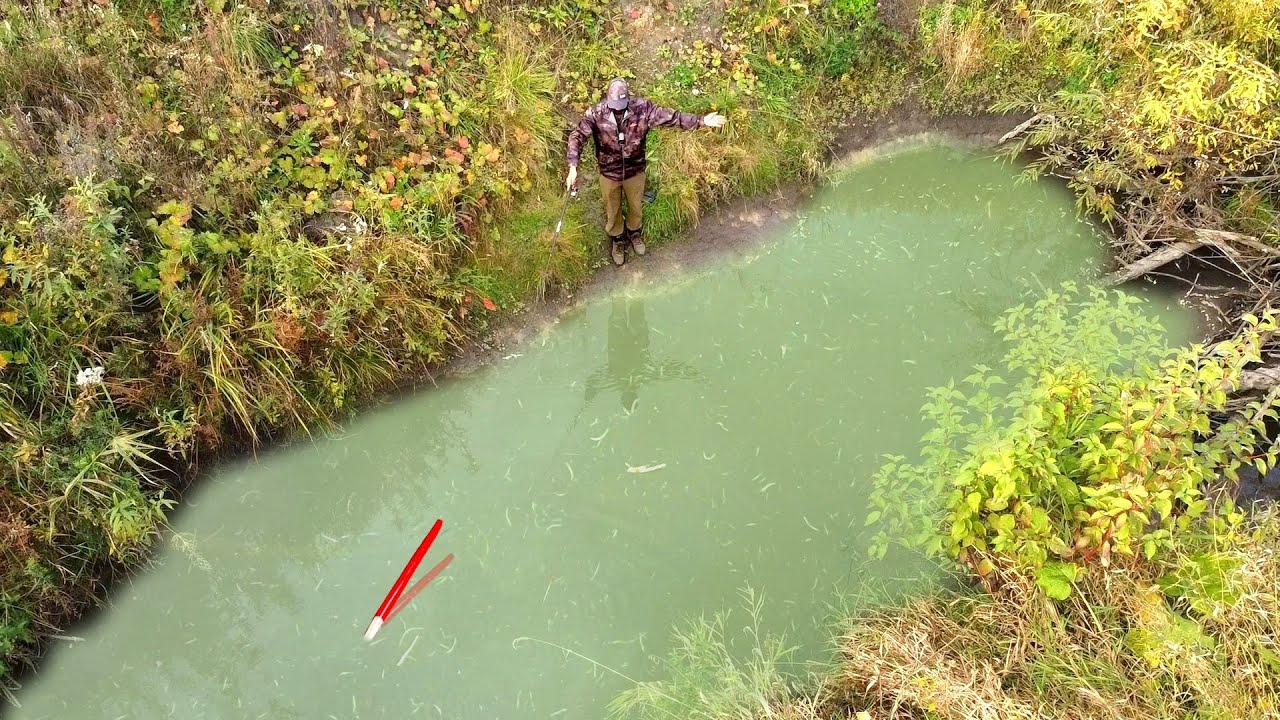 РУЧЕЙ НЕ ДЛЯ СЛАБОНЕРВНЫХ ВЫДАЁТ...КРУПНЯК в ДЕБРЯХ на ПОПЛАВОК! Рыбалка на карася 2025