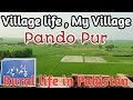 Pando Pur | Village Life | My Village | Rural life in Pakistan | apna Punjab | Gujranwala visit