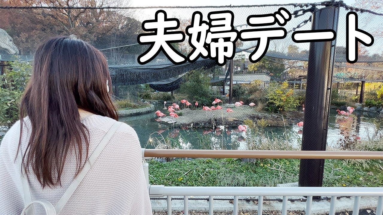7年ぶりの東山動物園で夫婦デート Youtube