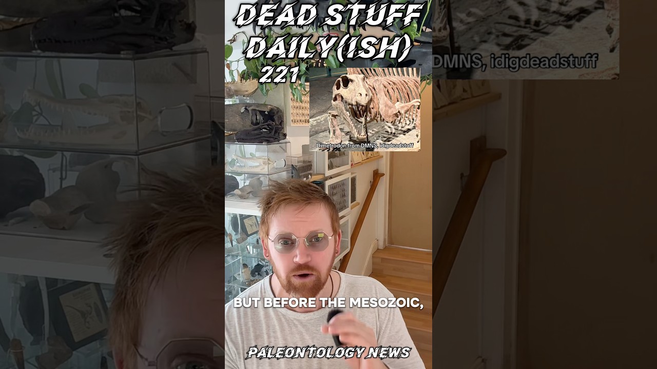 🚨ПЕРМСКИЙ ОТПЕЧАТОК ЗАДНЕЙ ЧАСТИ ТЕЛА🚨🦎🦖🦕 