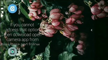 Portrait mode on single camera smartphone without google camera.