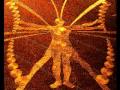 cosmic butterfly