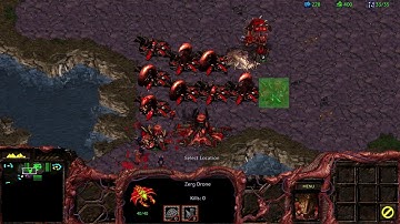 Starcraft - Zerg 1 vs 7 Random Computers, Big Game Hunters