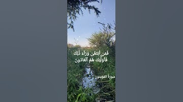 #قران_كريم #ياسر_الدوسري #اكسبلور #سورة_المؤمنون