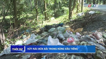 Vứt rác bừa bãi trong rừng Dầu Tiếng | VÌ VĂN MINH CUỘC SỐNG | TayNinhTV