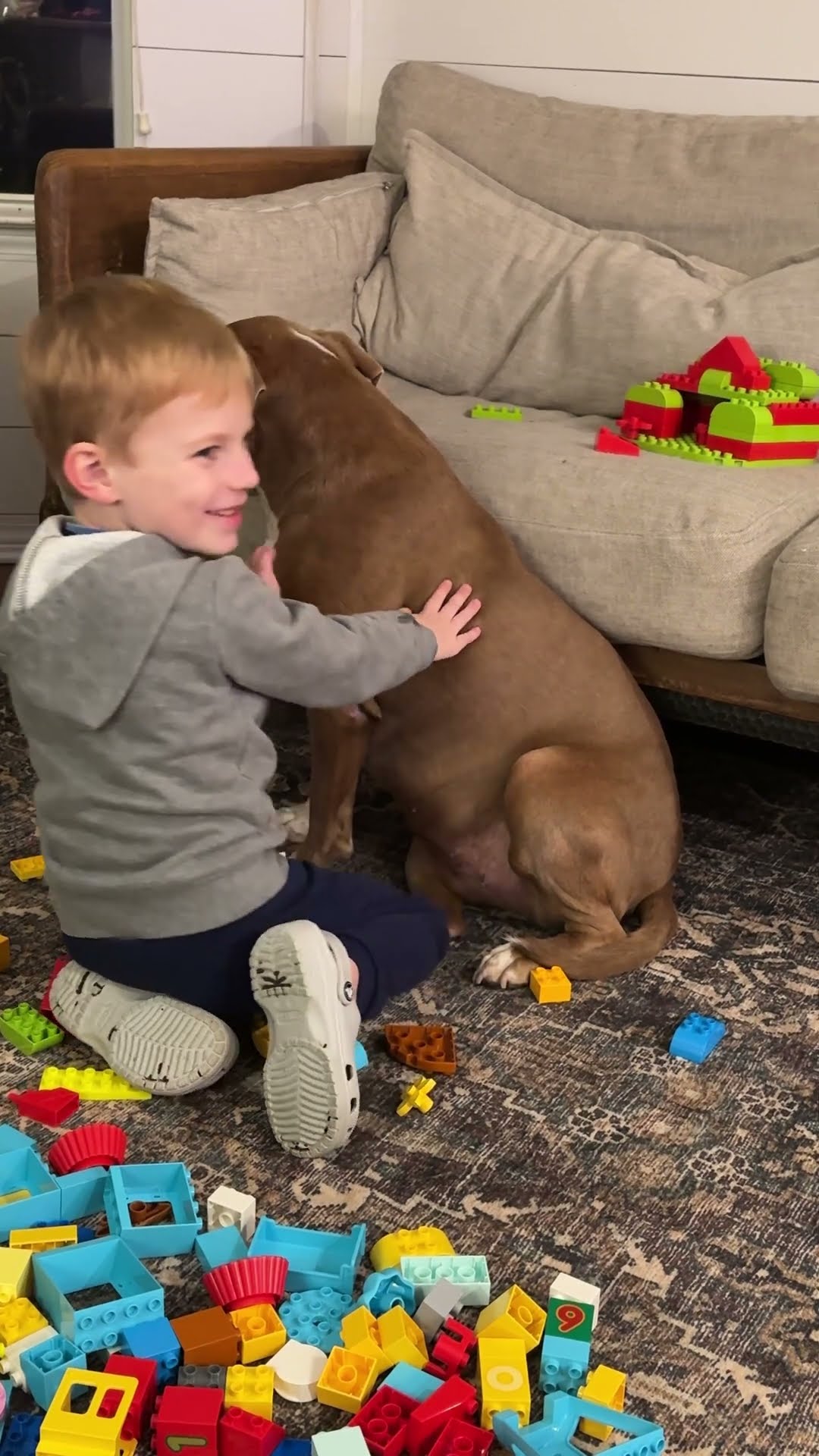 Sweet Grandson Comforts Scared New Rescue Dog || ViralHog