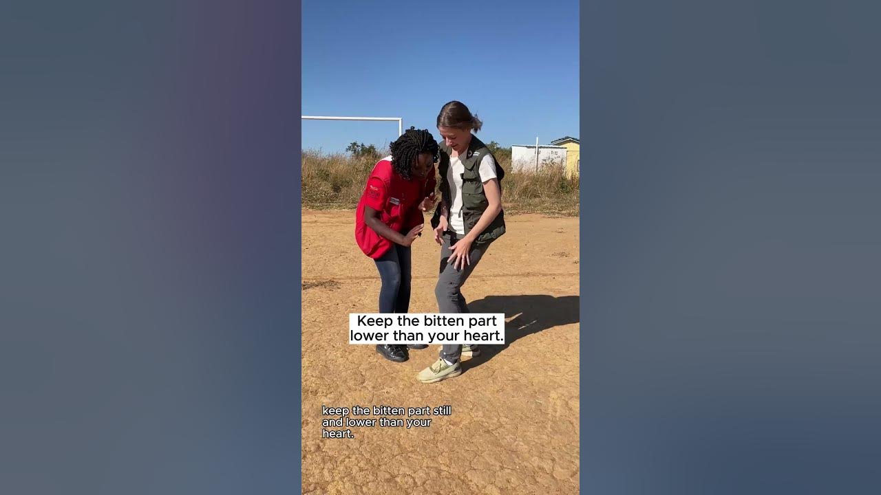 Myths About Treating Snake Bites #FirstAid #LearnOnYouTube
