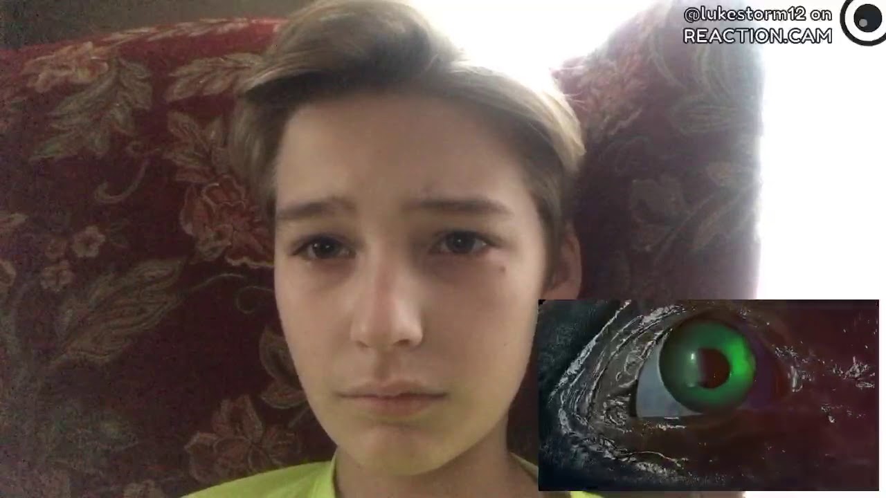 Sad Animation - The Animals Life REACTION ending