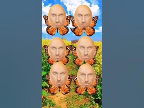 Яйцо Нагиев бабочка 🦋 листай дальше. #edit #music #да #chill #эдит # ...