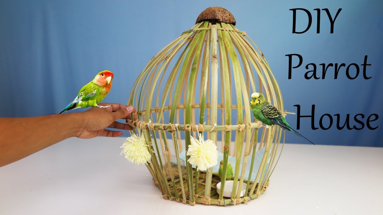 How to Make Bamboo House For Parrot - Bird House - YouTube