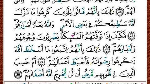 ختمة مصحف التجويد برواية قالون الصفحة رقم 509