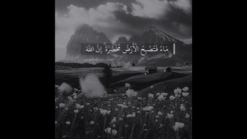 القارئ عبدالله الموسى {أَلَمْ تَرَ أَنَّ اللَّهَ أَنزَلَ مِنَ السَّمَاءِ مَاءً…}