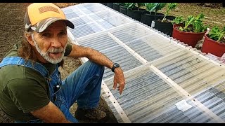 Hot Bed or Cold Frame?  YOU DECIDE!