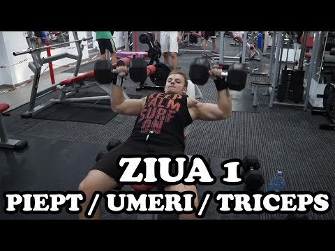 Video: Exercițiu în Sala De Sport