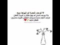 لا توجد شجرة لم تهزها ريح ولا يوجد إنسان لم يهزه فشل وخيبة لكن توجد أشجار صلبة ويوجد أشخاص أقوياء