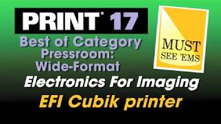 EFI Cubik Printer - MUST SEE &#39;EMS &quot;Best of Category&quot; Winner