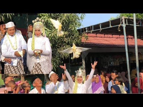 Video: Merpati Di Pesta Pernikahan: Tanda Dan Tip