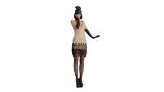 Flapper Costume / 1920's Dress Costume (DG-8832)