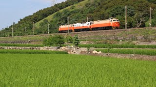 E101回送｜8795次 台中港~清水（清水坡）