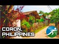 A virtual excursion through the verdant heart of this JEWEL OF PALAWAN  | Treadmill Traveler