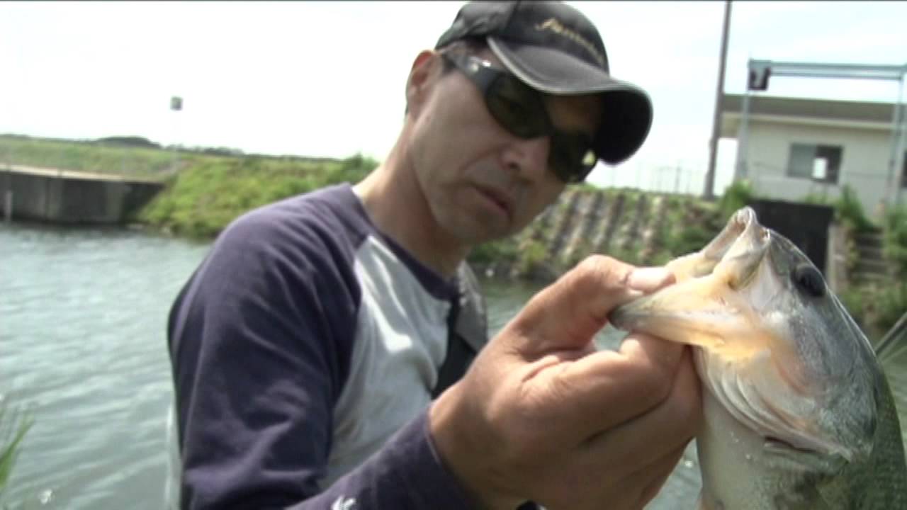 ベイトフィネス リール 安い The Perfect Finesse Bible ～BaitFiness 編　沢村幸弘～Tiemco Bass Fishing JP/ティムコ バスフィッシング