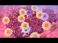 11 June 2026 ## Tumor formation## explanation ##Biology ##