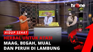 9 GEJALA SAKIT HATI BERLEMAK ! SERING DI KIRA ASAM LAMBUNG !  | FATTY LIVER