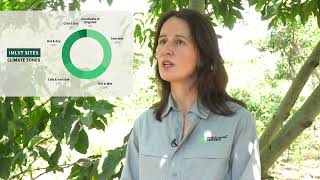 What Is The International Multilocation Variety Trial Imlvt? - 4K