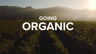 Stag’s Leap Wine Cellars Going Organic | Cellar Talks by stagsleapwinecellars 203 views 10 months ago 2 minutes, 30 seconds