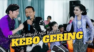 Dhimas Tedjo feat Ayu Kaesthi - Kebo Gering - Pak Mis - Cs Pendopo Kang Tedjo