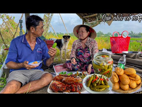 Video Hái Dưa Leo Muối Chua | Vịt Quay Cúng Tạ Ơn Thần Nông... - youtube