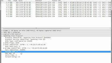Spanning Tree Convergence
