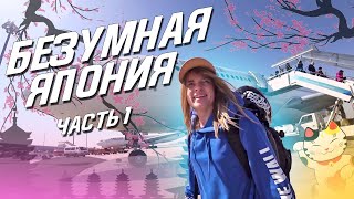 БЕЗУМНАЯ ЯПОНИЯ | Хиросима | first impressions БЕЗУМНАЯ ЯПОНИЯ | Хиросима | first impressions