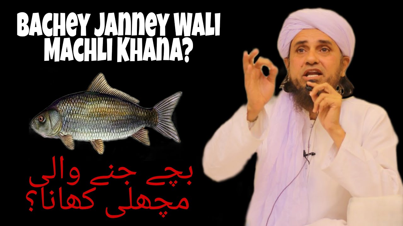 Bachey Janney Wali Machli Khana? mufti tariq masood speech 