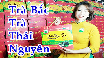 Trà Bắc | Trà Thái Nguyên ngon nhất | Trà Thái Nguyên
