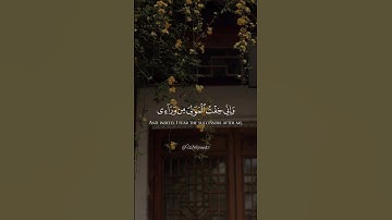 قَالَ رَبِّ إِنِّي وَهَنَ الْعَظْمُ مِنِّي ...سورة: مريم