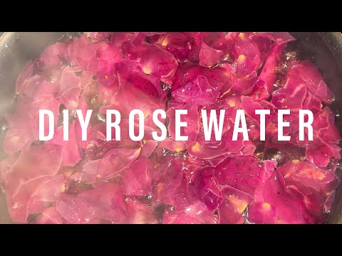 DIY Rose Water | Super EASY + FAST | Loc