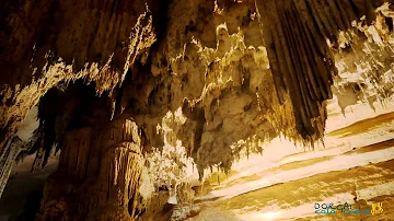 Quanto costa visitare le grotte del Bue Marino?