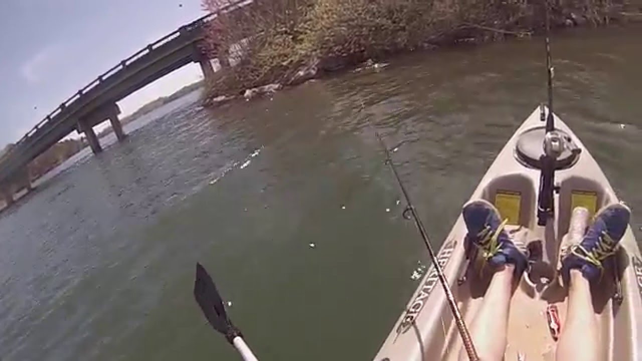 Bass Fishing the Pre-Spawn with Zoom Flukes 