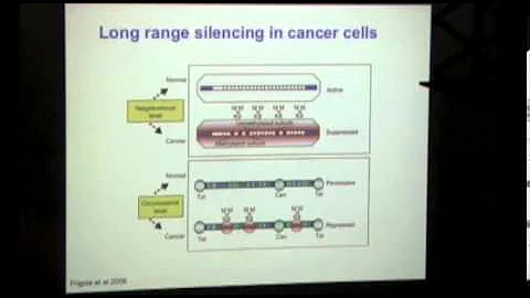 Blewitt ME (2011): Epigenetics and Cancer
