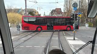 Every city needs a Transport like in ❤️Freiburg🇩🇪Germany 2023