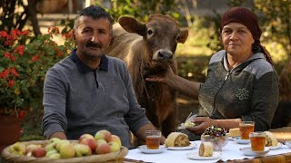 Kəndsayağı Köftə bozbaş və Almalı Ştrudel, Apple Strudel Recipe, ASMR Cooking