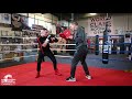 How To Defend and Counter the One Two Punch Using Two Parries