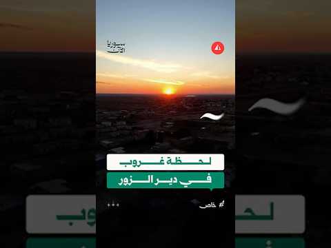 جزرة البوحميد بدير الزور