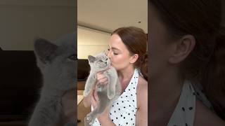 Ob meine Mäuse Wasser mögen..?!👀🤭 #shortvideo #kitten #al...