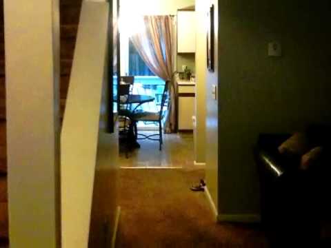 272 Rosewood Ave, New Haven, CT home video tour