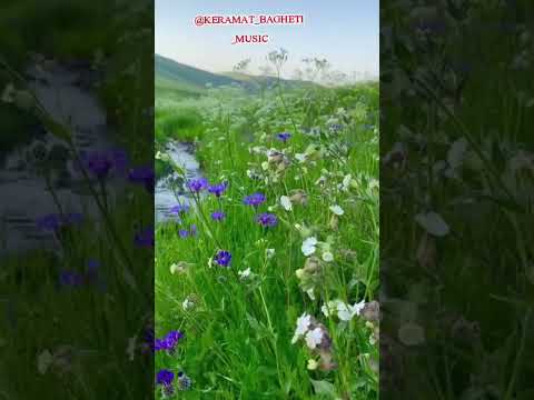 داد از این دل با صدای استاد کرامت باقری نویسنده و شاعر دکتر سجاد فرهمند 