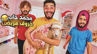 كنا غادي نعيدو😂صدق الحولي غادي يعيد بينا!🐏انواع الحوالة ديال العيد😭