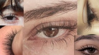 ⋆✩⋆DISCLAIMER:  lashes looks like you just got them done⋆✩⋆ screenshot 5